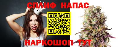 прущие грибы Донецк