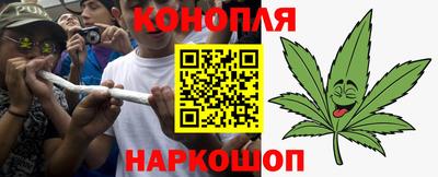 прущие грибы Донецк