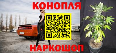 прущие грибы Донецк